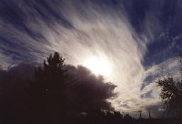 Cirrostratus