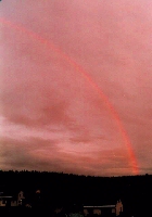 Regenbogen