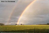 Regenbogen